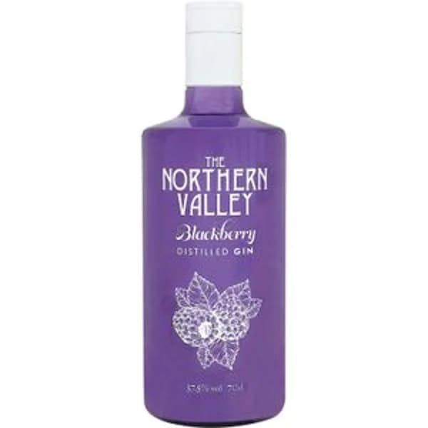 Ginebra Blackberry - 0.7 l - Imagen del producto en Findit