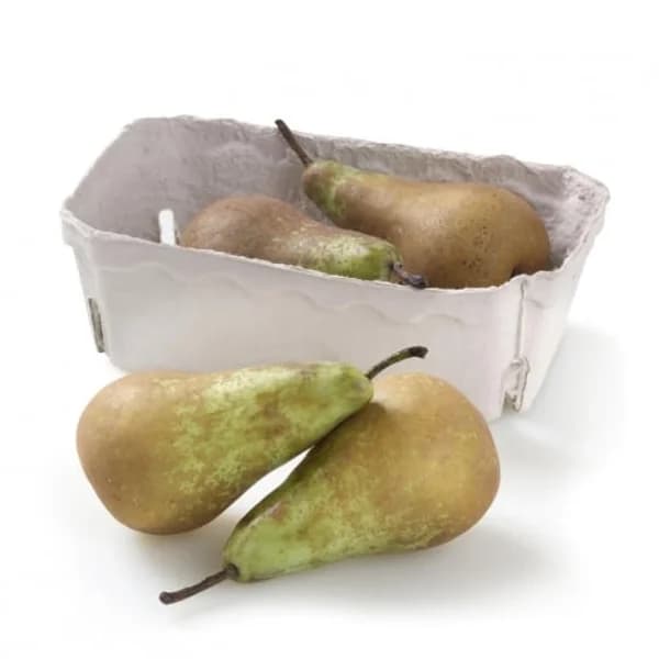 Pera ecológica 500 g - 0.5 kg - Imagen del producto en Findit
