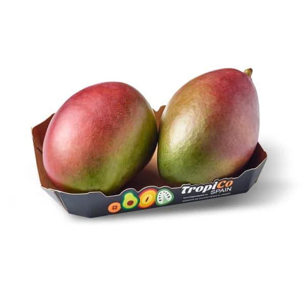 Mango bandeja 650 g - 1 ud - Imagen del producto en Findit