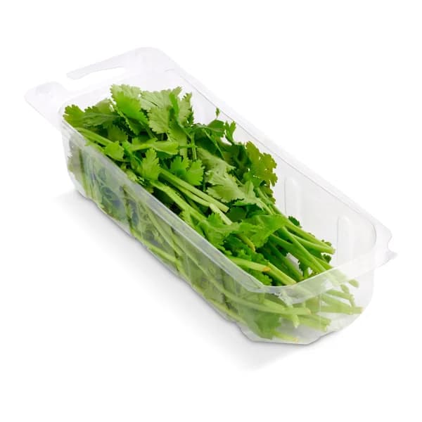 Cilantro bandeja 20 g - 0.02 kg - Imagen del producto en Findit