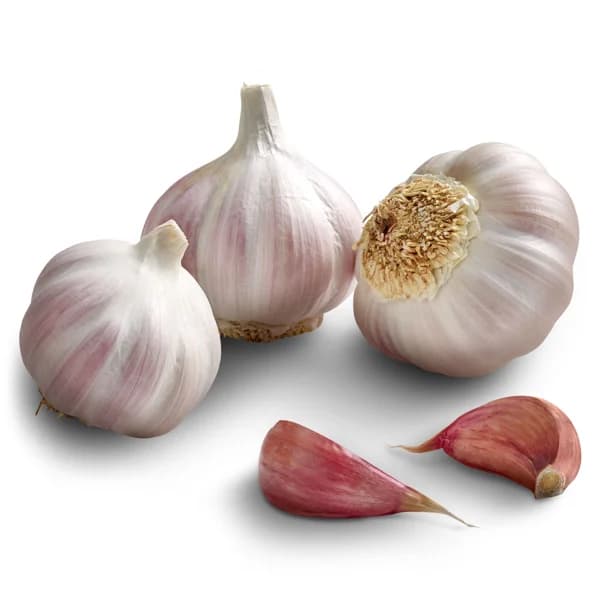 Ajo unidad aprox. 60 g - 0.06 kg - Imagen del producto en Findit