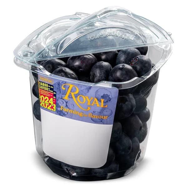 Arándano vaso 170 g - 0.17 kg - Imagen del producto en Findit