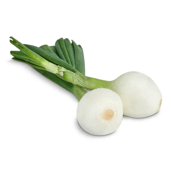 Cebolla tierna 1 unidad - 1 ud - Imagen del producto en Findit