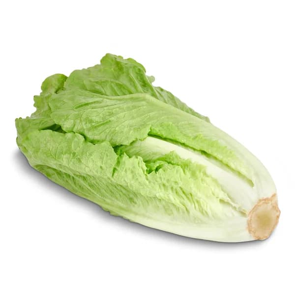 Corazón de lechuga romana bandeja 1 unidad - 1 ud - Imagen del producto en Findit