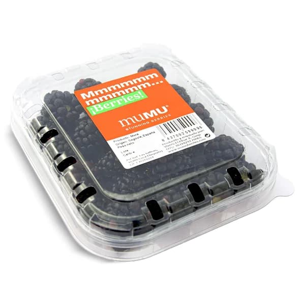 Moras tarrina 125 g - 0.12 kg - Imagen del producto en Findit