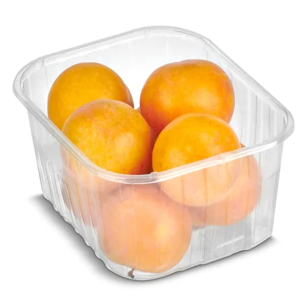 Ciruela rose bandeja 500 g - 1 ud - Imagen del producto en Findit