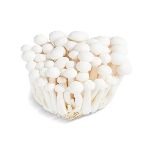 Seta shimeji bandeja 150 g - 1 ud - Imagen del producto en Findit
