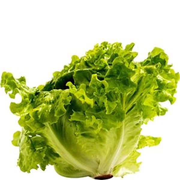 Lechuga del país unidad - 1 ud - Imagen del producto en Findit