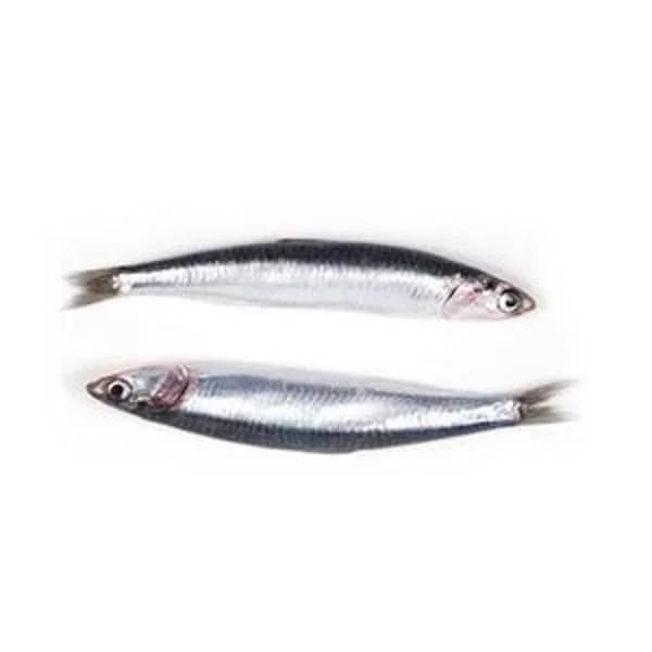 Anchoa grande - 1 kg - Imagen del producto en Findit