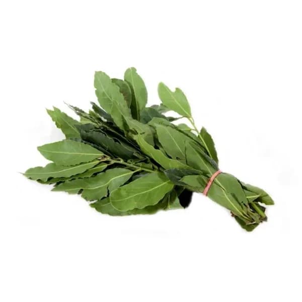 Laurel manojo de 100 g - 0.1 kg - Imagen del producto en Findit