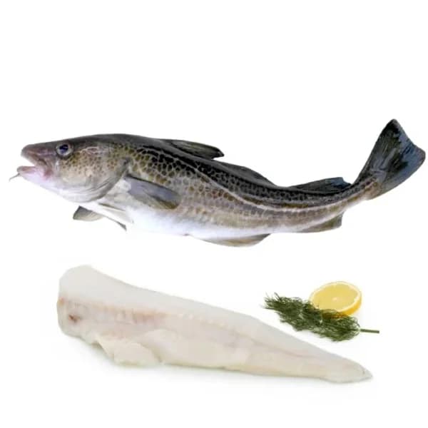 Bacalao 1,5 kg aprox - 1.5 kg - Imagen del producto en Findit