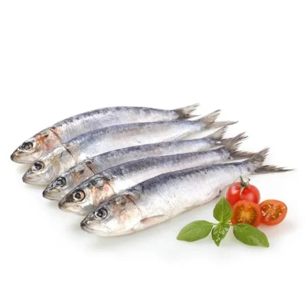 Sardinas 1 kg aprox - 1 kg - Imagen del producto en Findit