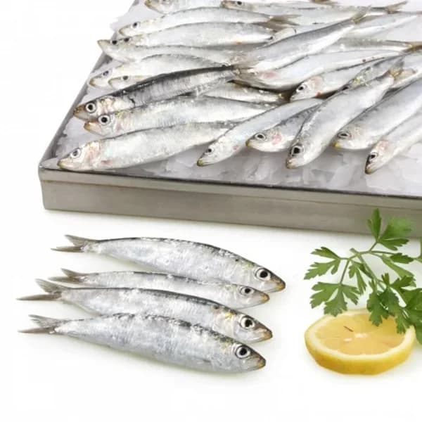 Sardina parrocha 1 kg aprox - 1 kg - Imagen del producto en Findit