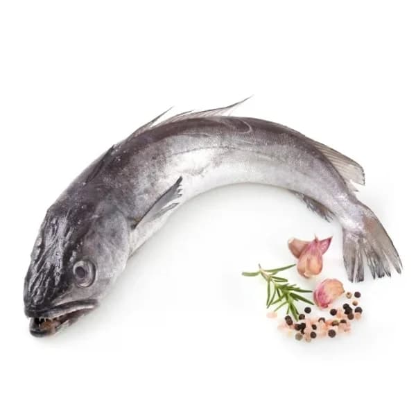 Pescadilla 1,7 kg aprox - 1 ud - Imagen del producto en Findit