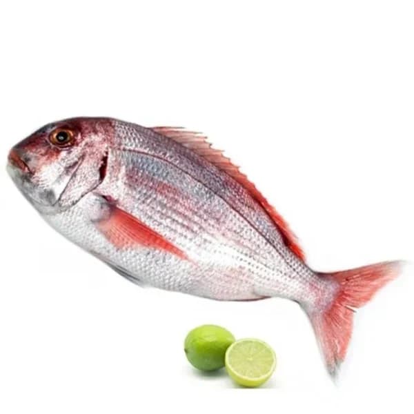 Pargo 1 ud de 1 kg aprox - 1 kg - Imagen del producto en Findit