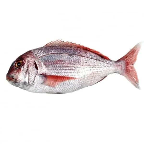 Pargo 1 ud de 1 kg aprox - 1 kg - Imagen del producto en Findit