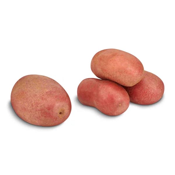 Patata roja malla 1.5 kg - 1.5 kg - Imagen del producto en Findit