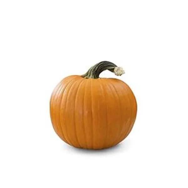 Calabaza Halloween - 1 ud - Imagen del producto en Findit
