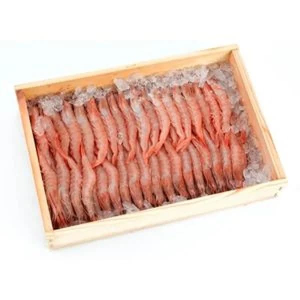 Gamba arrocera (entrega fin de semana) - 1 kg - Imagen del producto en Findit