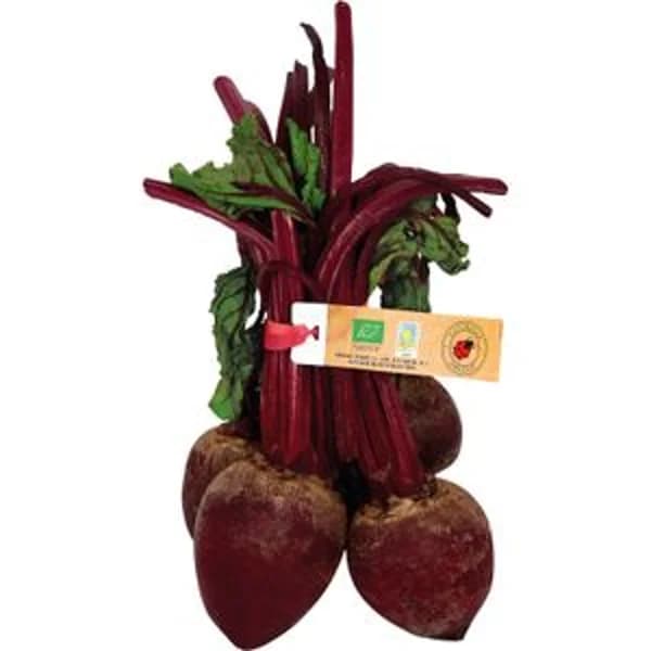 Remolacha Ecológica Manojo - 0.4 kg - Imagen del producto en Findit