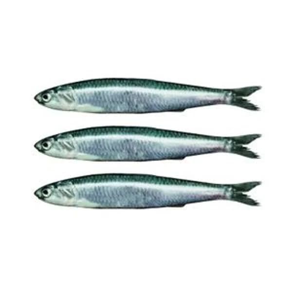 Bocarte/anchoa - 1 kg - Imagen del producto en Findit