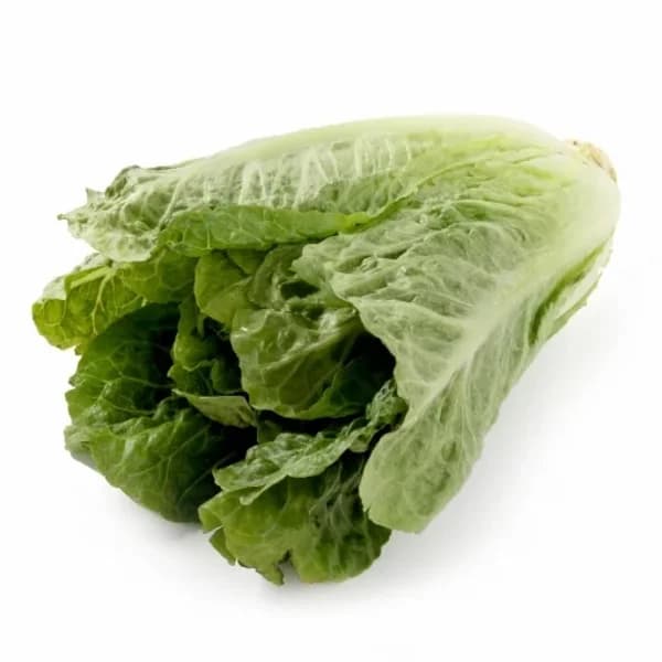 Lechuga romana 1 ud - 0.75 kg - Imagen del producto en Findit