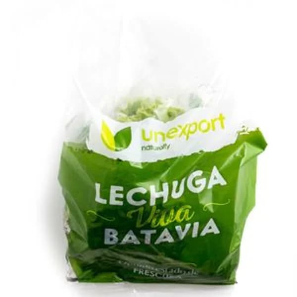 Lechugas vivas (entre 300/500 g) - 1 ud - Imagen del producto en Findit