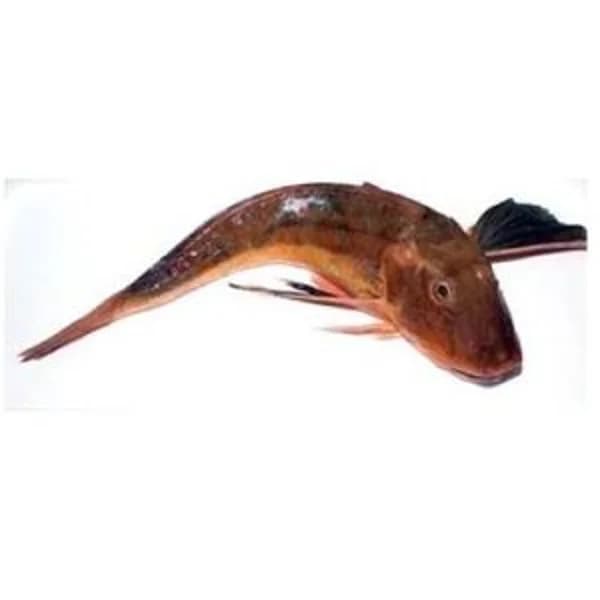 Perlon (500 g aprox) - 1 kg - Imagen del producto en Findit