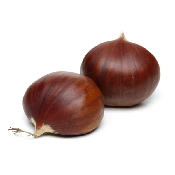 Castaña €/KG - 1 ud - Imagen del producto en Findit