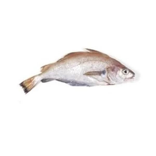 Faneca (500 g aprox) - 1 kg - Imagen del producto en Findit