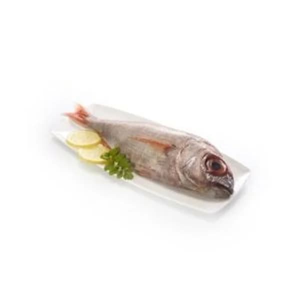 Besugo salvaje (Confirmamos dispo. vía tfno) - 1 kg - Imagen del producto en Findit
