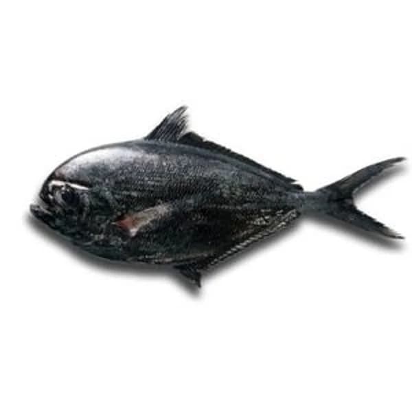 Palometa (800 g - 1 kg aprox) - 1 kg - Imagen del producto en Findit