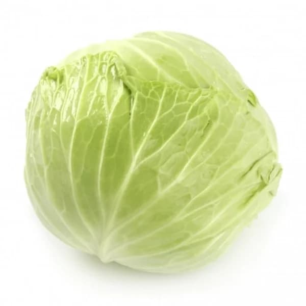 Repollo liso nacional  1,5 kg - 1 kg - Imagen del producto en Findit