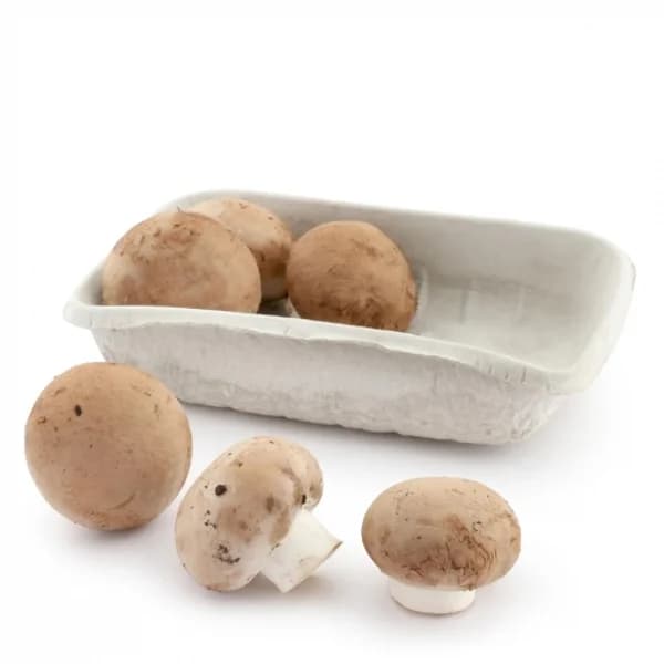 Hongo portobello ecológico Carrefour 250 g aprox - 1 ud - Imagen del producto en Findit