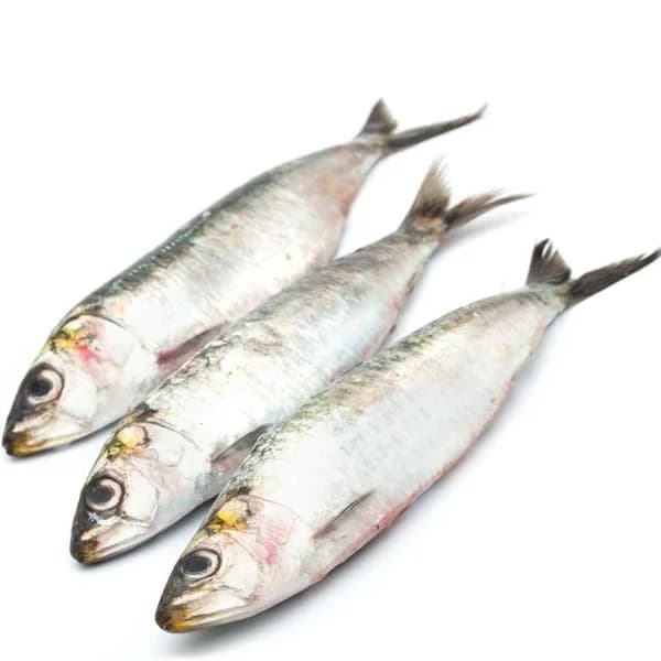 Sardina grande, al peso, compra mínima 500 g - 1 ud - Imagen del producto en Findit