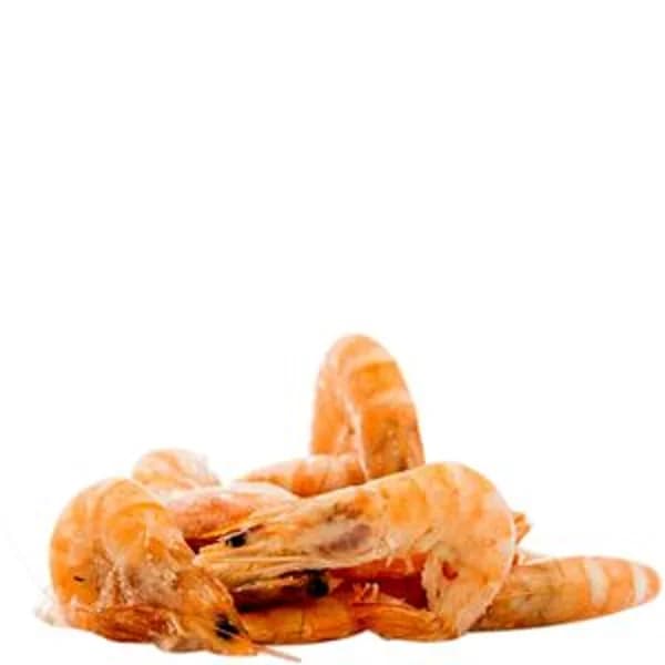 Langostino cocido 40/60 congelado a granel - 1 ud - Imagen del producto en Findit