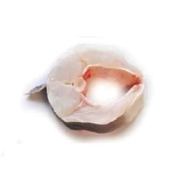 Congrio abierto (250 g aprox/unidad) - 1 kg - Imagen del producto en Findit