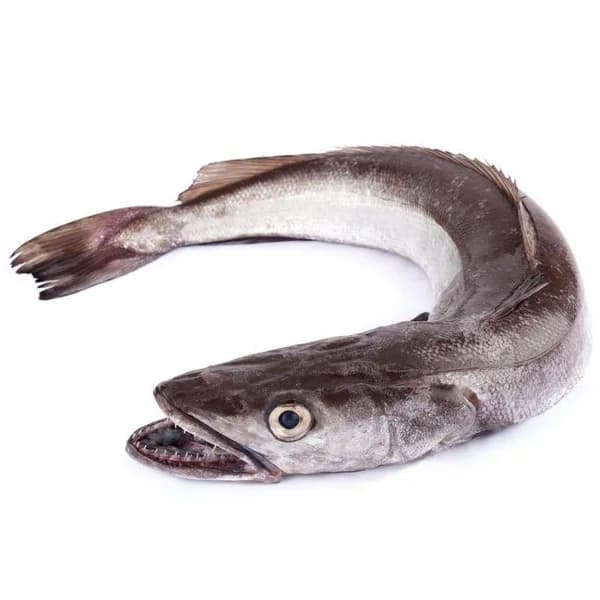 Merluza de anzuelo (1-2 kg), pieza al peso aprox. 1.8 kg - 1.8 kg - Imagen del producto en Findit