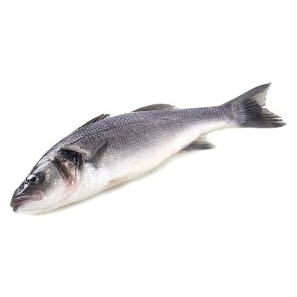 Lubina de crianza EROSKI NATUR GGN, pieza al peso aprox. 1.6 kg - 1 ud - Imagen del producto en Findit