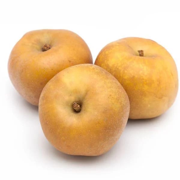 Manzana Reineta de Regil, al peso, compra mínima 1 kg - 1 ud - Imagen del producto en Findit