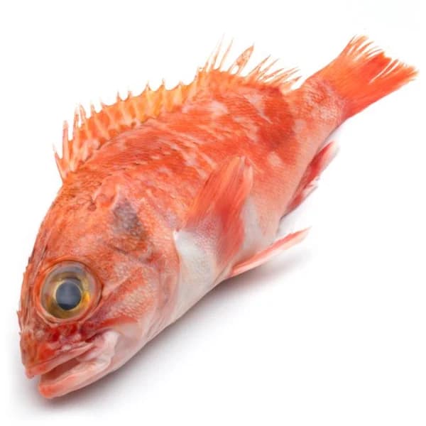 Kabra del País Vasco, al peso, compra mínima 1 kg - 1 kg - Imagen del producto en Findit