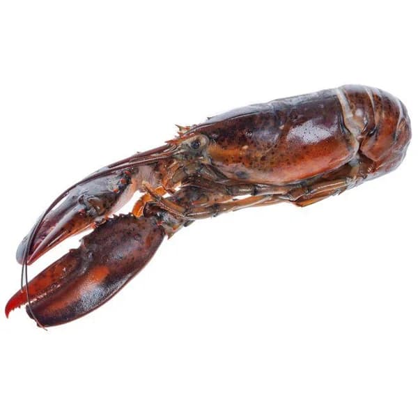 Bogavante crudo MANET, 1 ud, 350 g - 1 ud - Imagen del producto en Findit