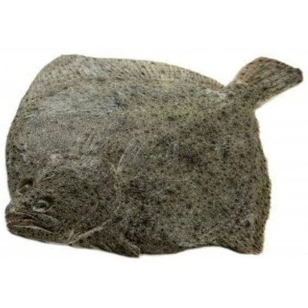 Rodaballo de crianza PRODEMAR, pieza al peso aprox. 2.2 kg - 2.2 kg - Imagen del producto en Findit