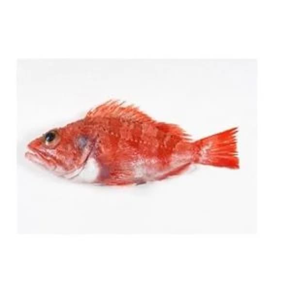 Cabracho (750 g aprox/pieza-sujeto disponibilidad) - 1 ud - Imagen del producto en Findit