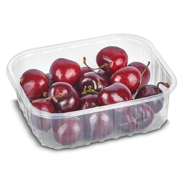 Cereza to go bandeja 250 g - 1 ud - Imagen del producto en Findit