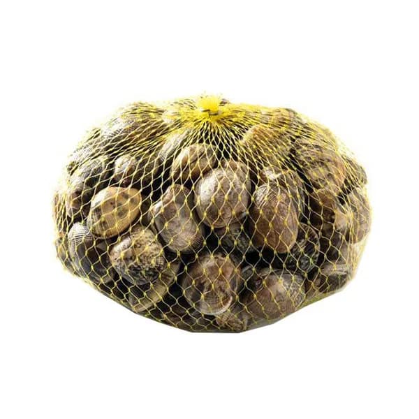 Almeja cultivo, malla 1kg - 1 ud - Imagen del producto en Findit