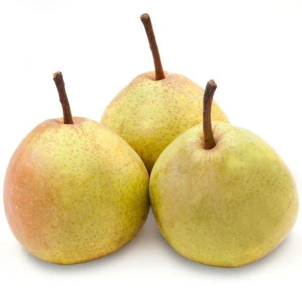 Pera Leclerc-Passacrasana, al peso, compra mínima 1 kg - 1 ud - Imagen del producto en Findit