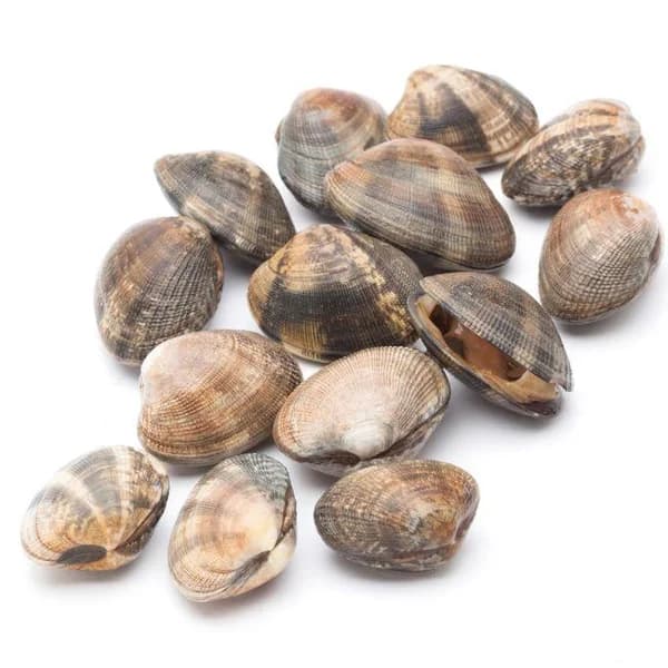 Almeja 90-100, al peso, compra mínima 250 g - 0.25 kg - Imagen del producto en Findit
