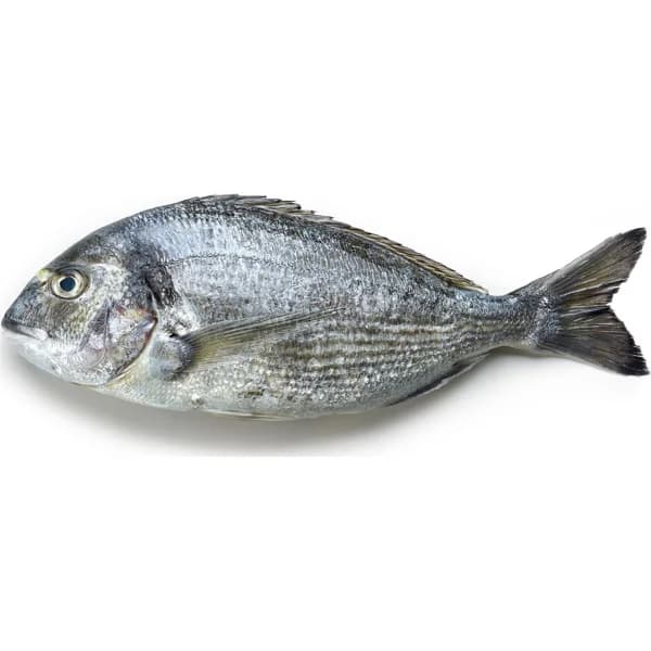 Dorada Grande - 1 ud - Imagen del producto en Findit