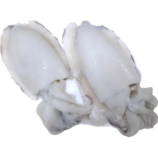 Sepia Limpia Mediana (Descongelada) - 1 ud - Imagen del producto en Findit